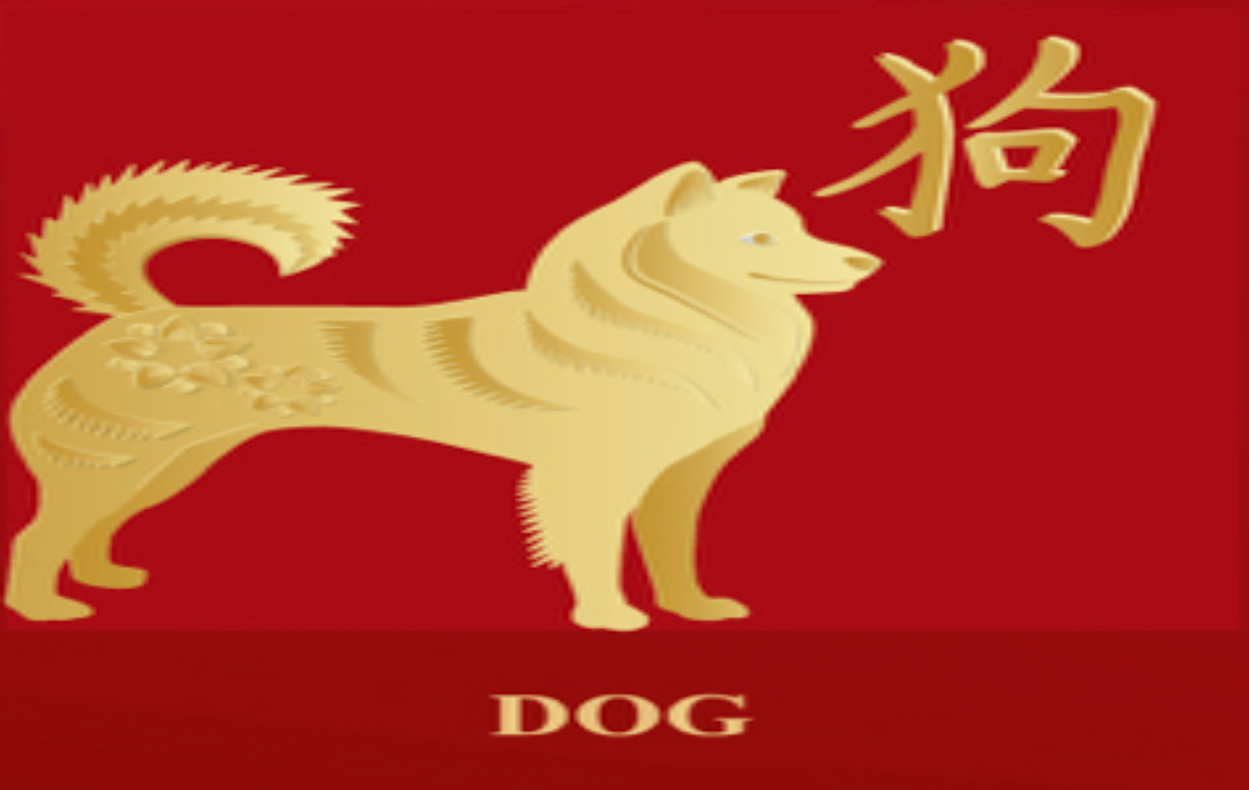 Fifth Avenue Interior Pte Ltd