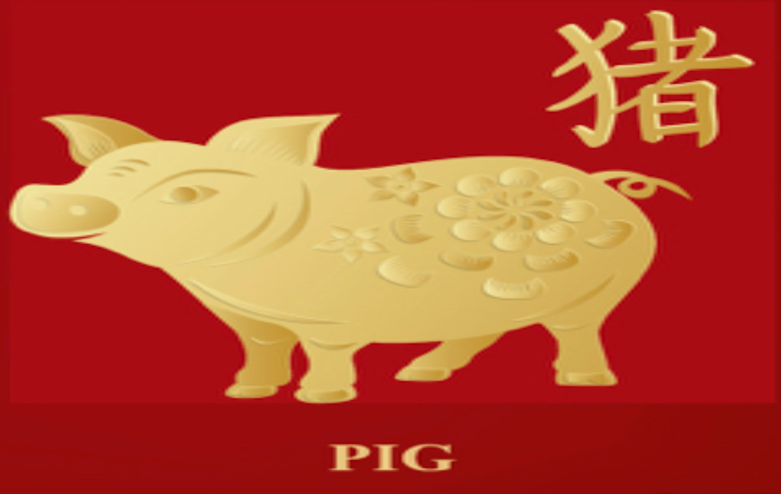 Fifth Avenue Interior Pte Ltd