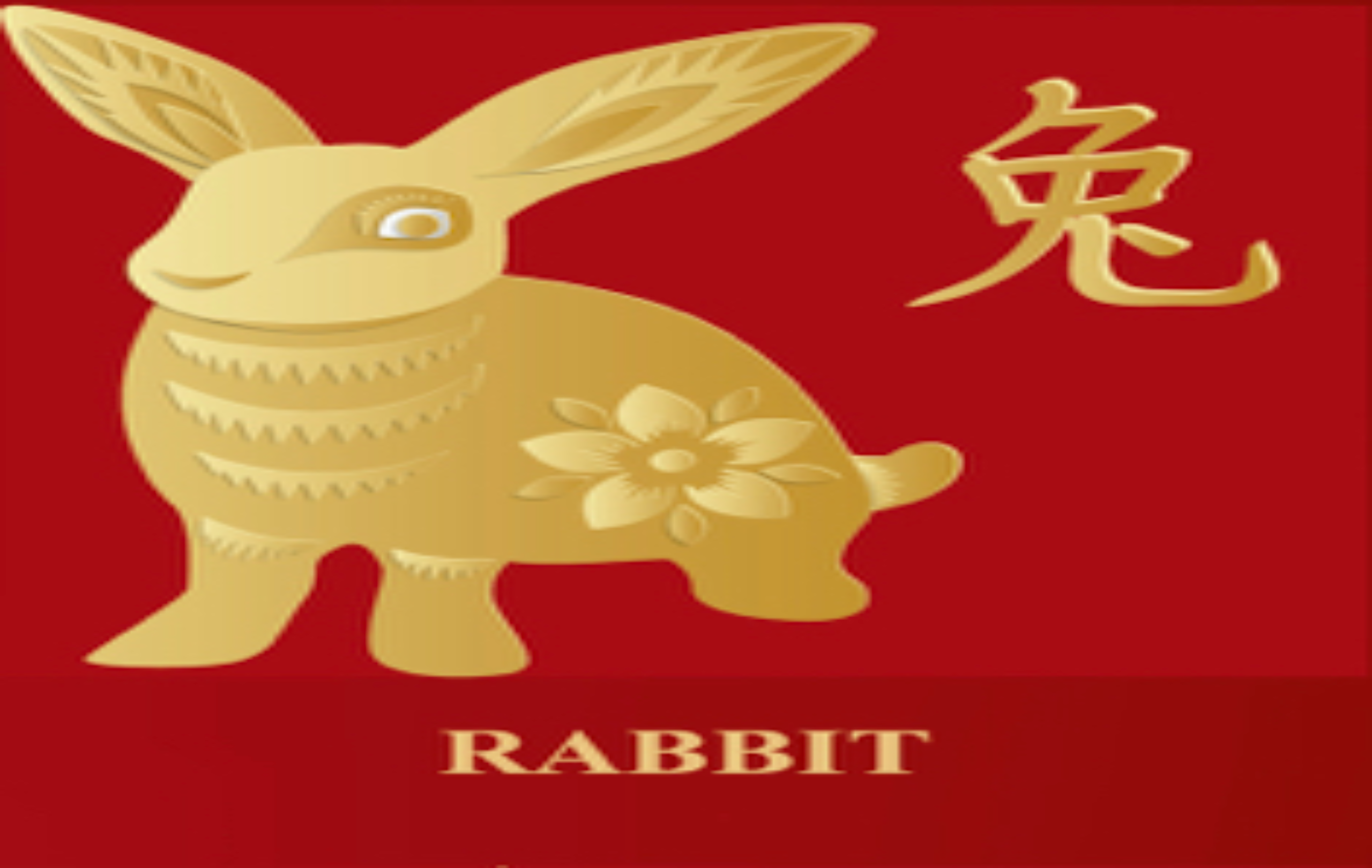 Fifth Avenue Interior Pte Ltd